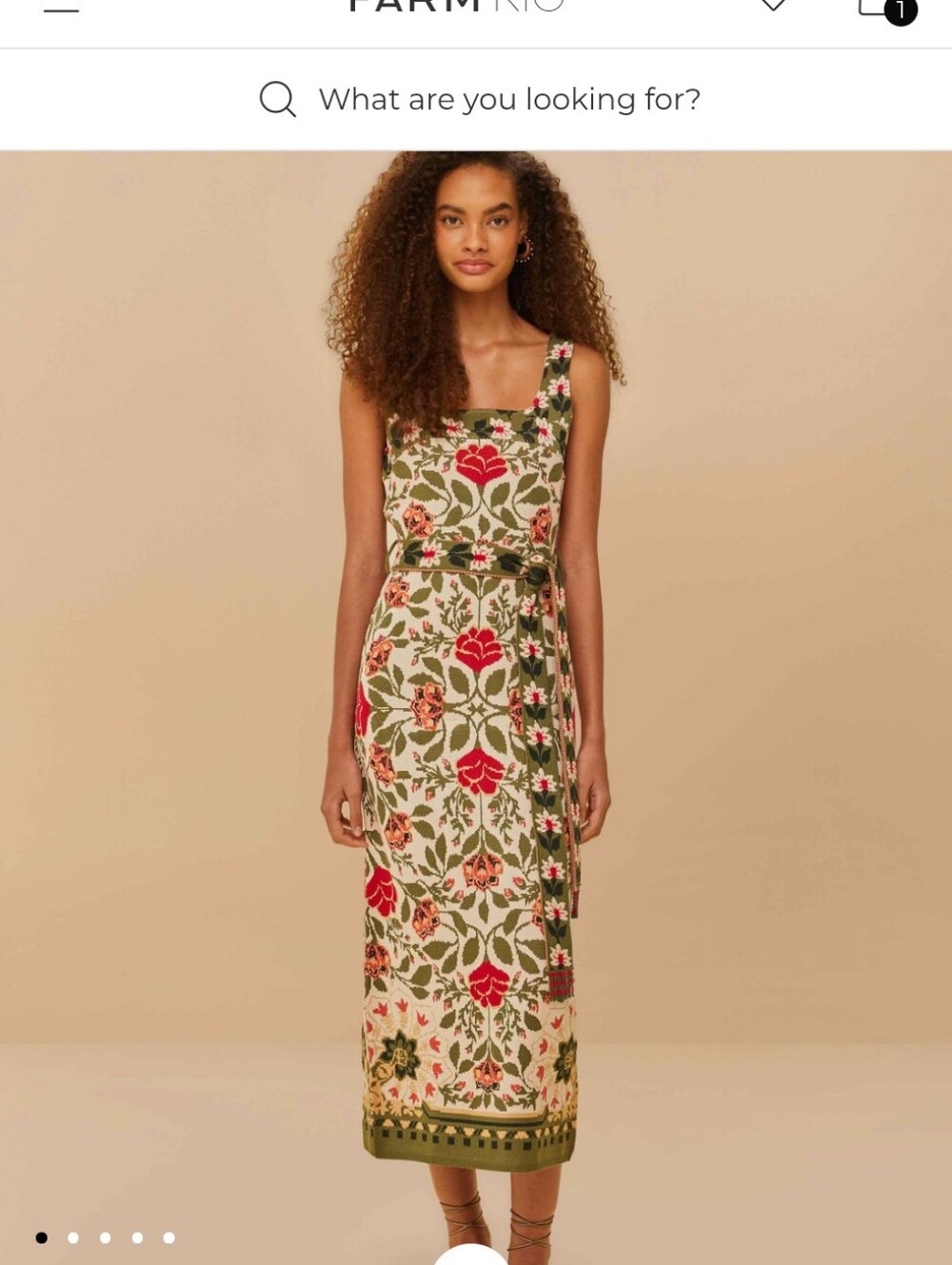 Farm Rio Floral Knit Dress - Picture 12 of 13